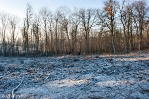 DSC00537-24