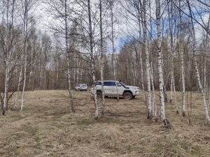IMG_20240420_101906339_HDR
