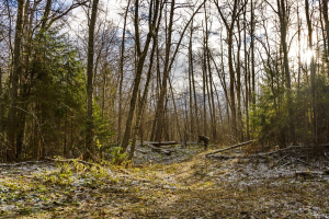 DSC_8361