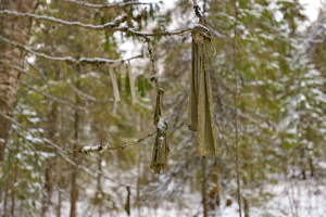 DSC_8520