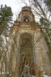 DSC_8535
