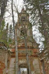 DSC_8542