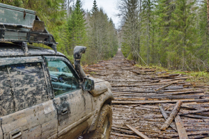 DSC_2942