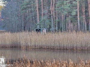 без-имени-242