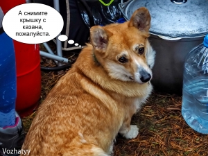без-имени-284