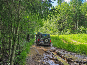 р1-113