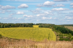 750_5872