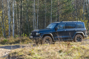DSC_7877