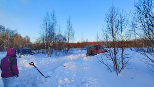 MVIMG_20260131_161451