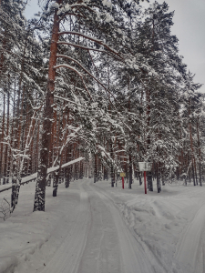 IMG_20240113_122253231_HDR