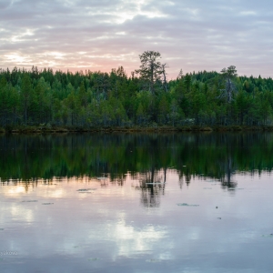20130911-DSC_3946