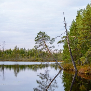 20130911-DSC_3956