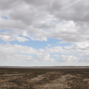 DSC_0294_resize
