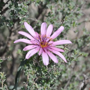 DSC_2779_resize