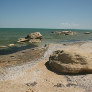 IMG_6816_resize
