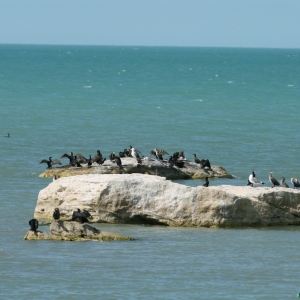 IMG_6930_resize