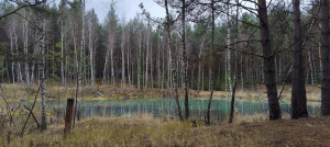 IMG20231116150455