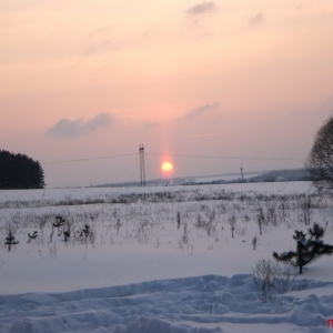 SONY DSC