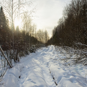 20140201-SVL_4927