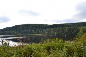 DSC_8255