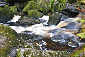 DSC_8296