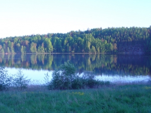P1020357