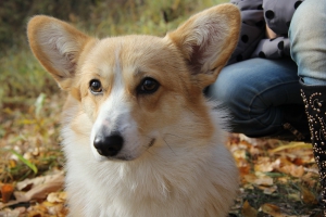 0_15ac89_515a6108_orig