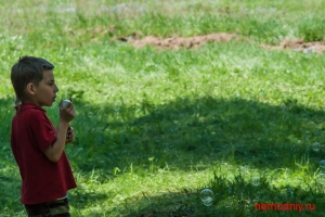 SONY DSC