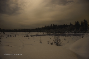 20150104-SVL_0527