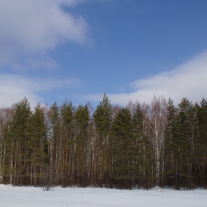 DSC01247