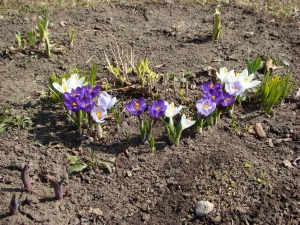 DSC09589_resize