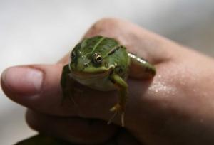 IMG_6161