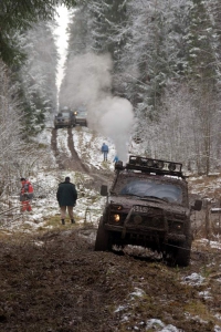 m-8615