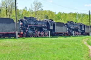 DSC_0305