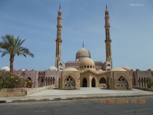 DSCN0550