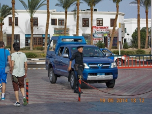 DSCN0601