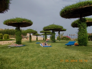 DSCN0619