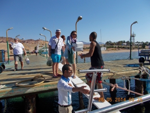 DSCN0687