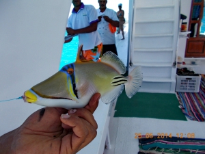 DSCN0713