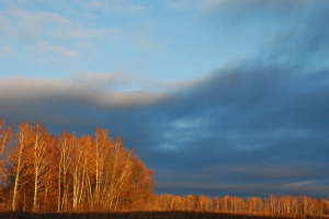 DSC_0593 (1)