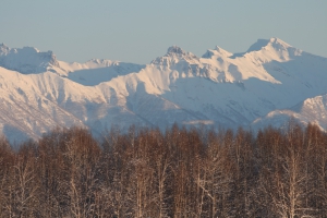 IMG_4305_resize
